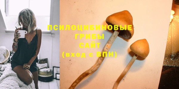 наркотики Инсар