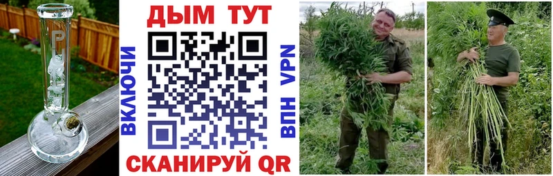 Купить закладки  Верхнеуральск  Бошки марихуана сатива 